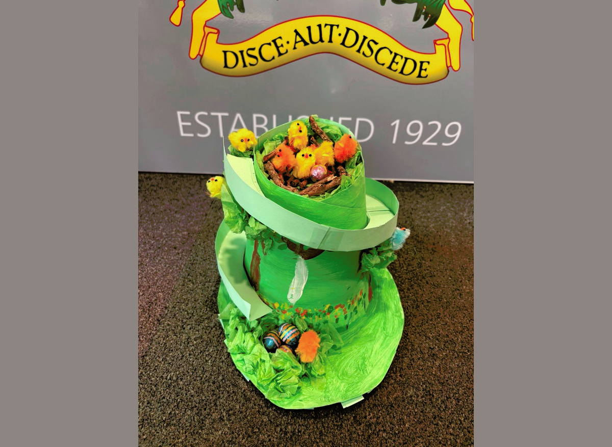 Year 2 First Place: Zeki D, Gosfield School