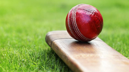 Cricket bat and ball.jpg