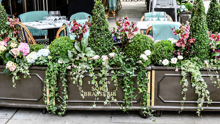 Ivy Soho Brasserie.jpg