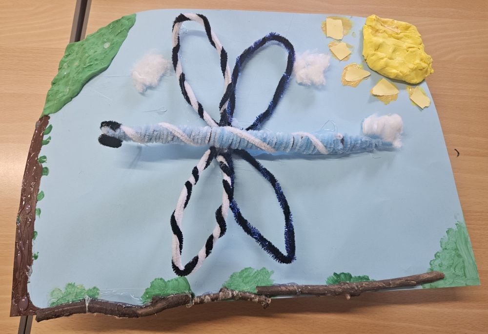 Year 5-6 - Highly Commended