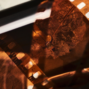 Film and Animation Competition