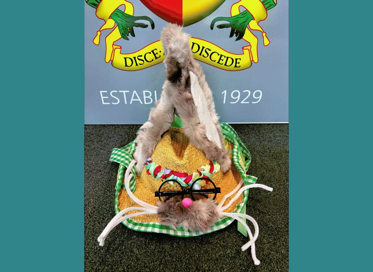 Year 5 First Place: Honeysuckle P-E, Gosfield School