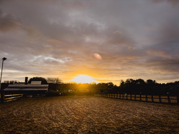 D215078D-AFDA-4D15-AE35-89B968FD88B4_L0_001-04_10_2023, 07_45_46.jpg 1