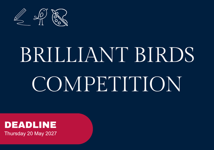 Brilliant Birds Competition Mailing Thumbanail.png