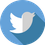 Twitter icon